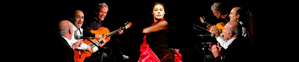 el jaleo flamenco live image 10