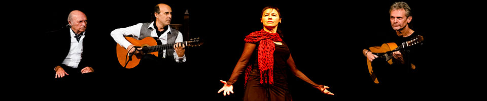 el jaleo live image 11