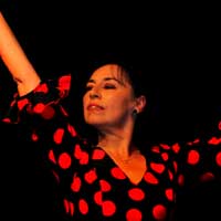 La Morena von El Jaleo flamenco image