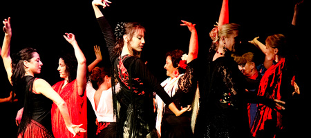 El jaleo Flamenco image Unterricht bei La Morena image